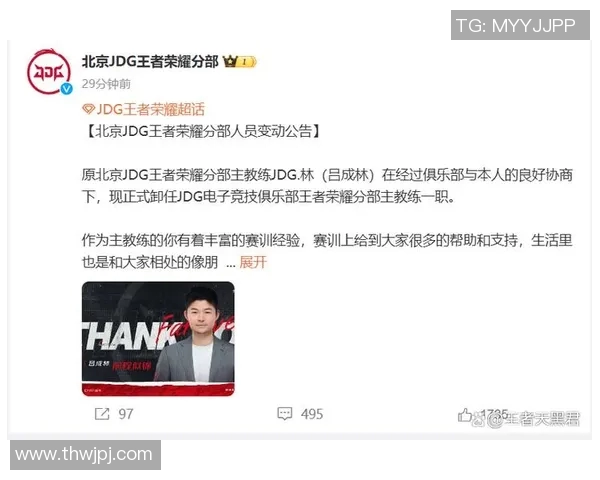 王者荣耀聚焦JDG战队灵活应变策略与战术创新的深度分析